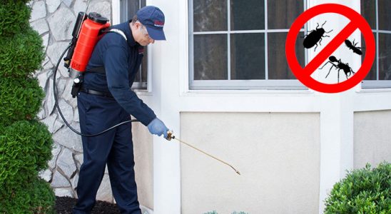 Burdur Dezenfeksiyon böcek ilaçlama ve haşere kontrolü — ilaclama-tr.com